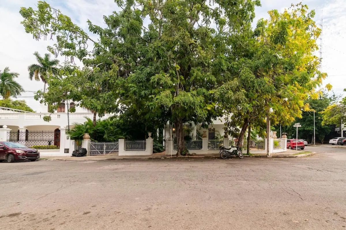 Bed and Breakfast Casa Damiana Mérida